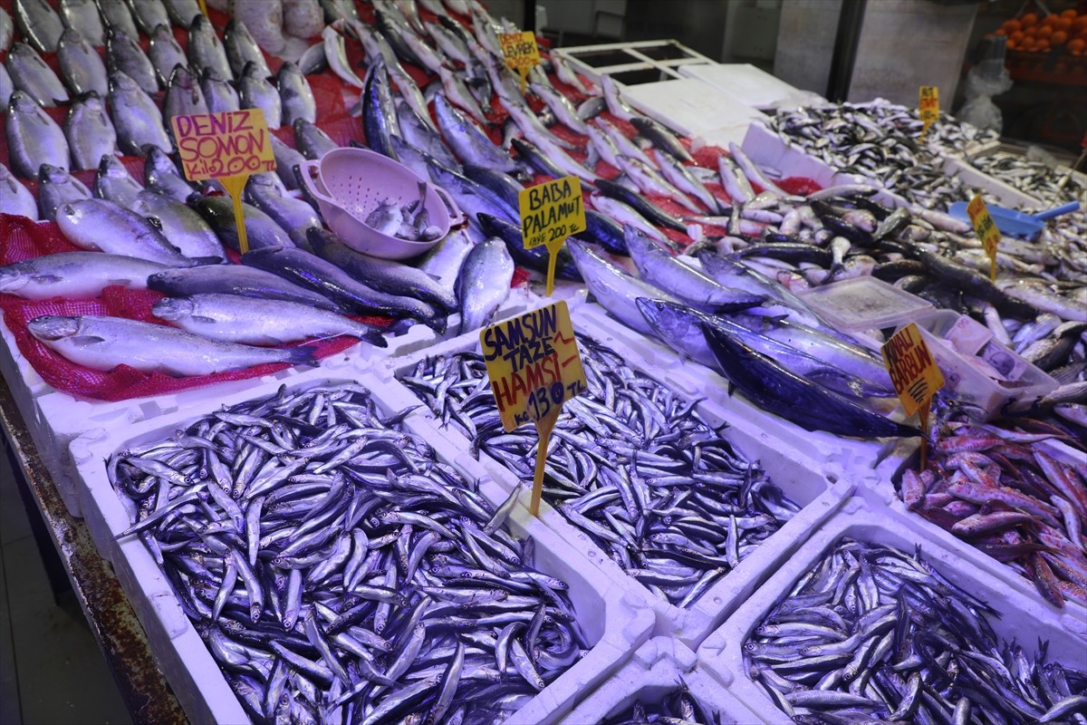 Samsun'da, Karadeniz'de avlanan hamsinin kilogramı 130 ila 200 liradan satışa sunuluyor. 