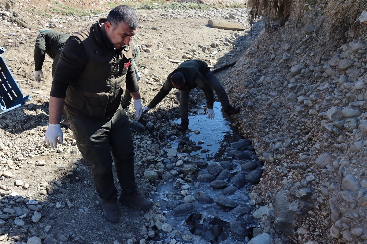 Şanlıurfa'nın Eyyübiye ilçesinde ıslah çalışmaları sırasında suyu kesilen derede mahsur kalan 316...