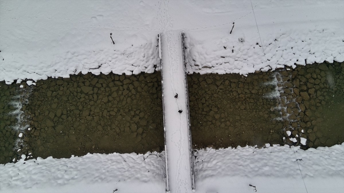 Sinop'ta kar yağışının ardından doğal güzelliğiyle ünlü Erfelek Tatlıca Şelaleleri Tabiat Parkı...