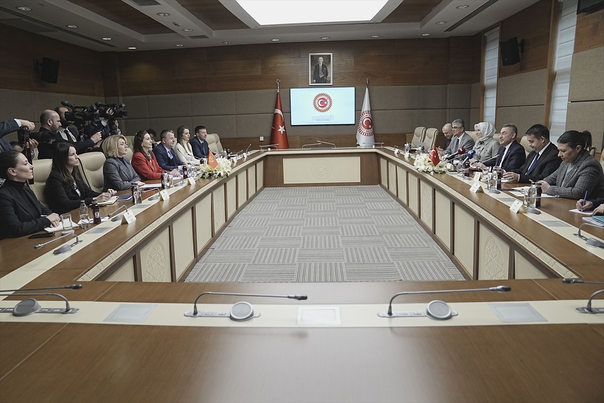 TBMM Dışişleri Komisyonu Başkanı Fuat Oktay (sağ 3), Karadağ-Türkiye Parlamentolar Arası Dostluk...