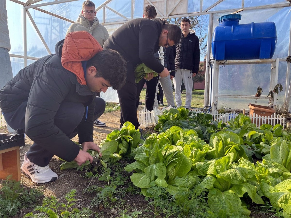 Tekirdağ'ın Hayrabolu ilçesinde lise öğrencileri, tarım eğitimi kapsamında okul bahçesinde sebze...