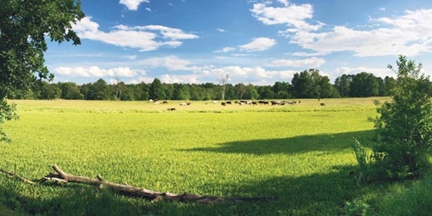 TOKİ'den 48 İlde 558 Arsa Satışı! Kaçırılmayacak Fırsatlar