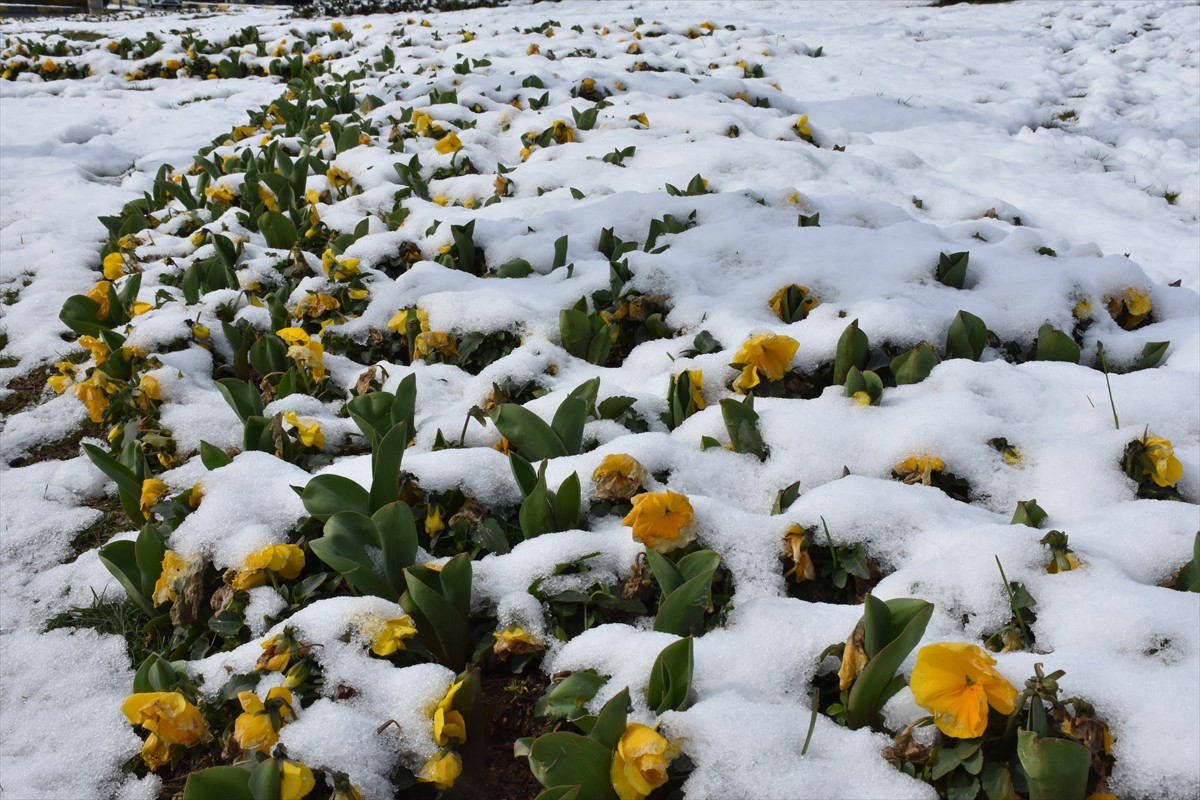 Trabzon'un Akçaabat ilçesinde kar yağışı etkili oldu.