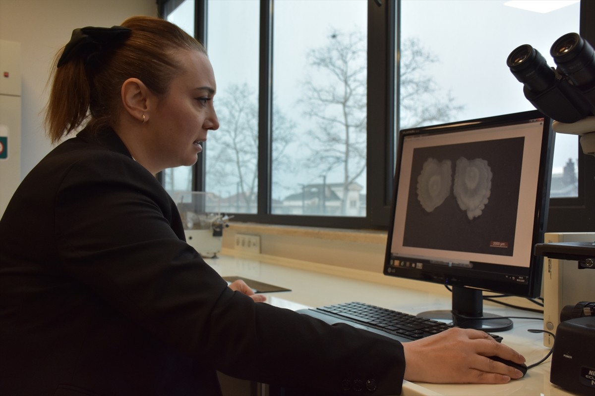 Trabzon Su Ürünleri Merkez Araştırma Enstitüsü'nde (SUMAE) Karadeniz'e kıyısı olan ülkelerden...