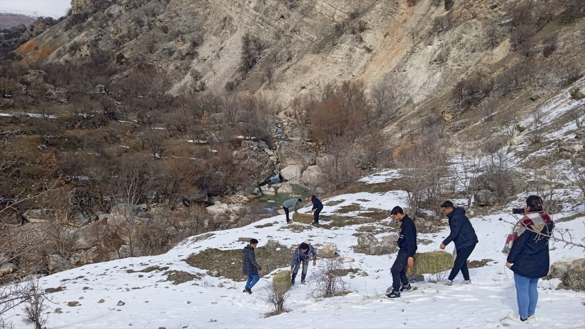 Tunceli'nin Çemişgezek ilçesinde üniversite öğrencileri, yaban hayvanları için dağlık alana yem...