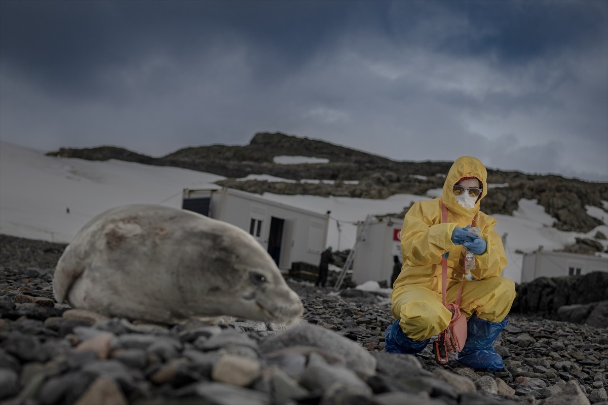Türk bilim insanları, 9. Ulusal Antarktika Bilim Seferi kapsamında ulusal ve uluslararası boyutta...