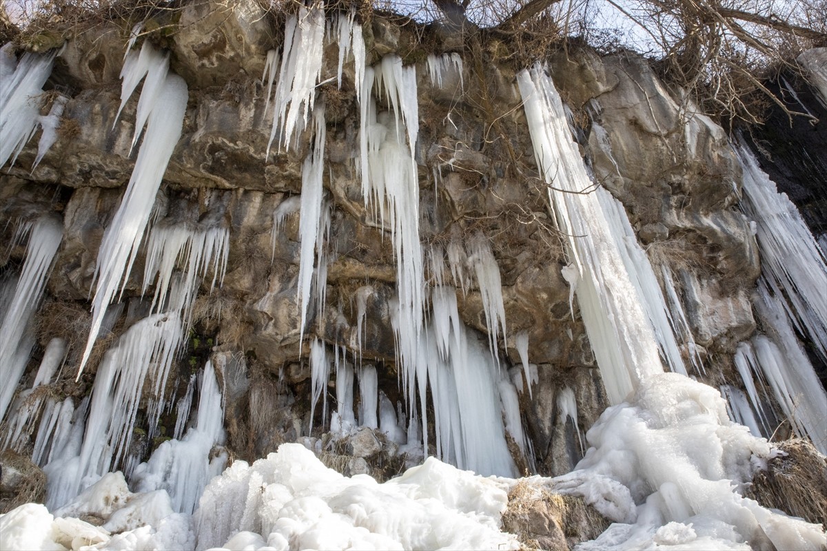 Van'da soğuk havanın etkili olduğu Erciş ilçesindeki Koçköprü Kanyonu'nda buz sarkıtları...