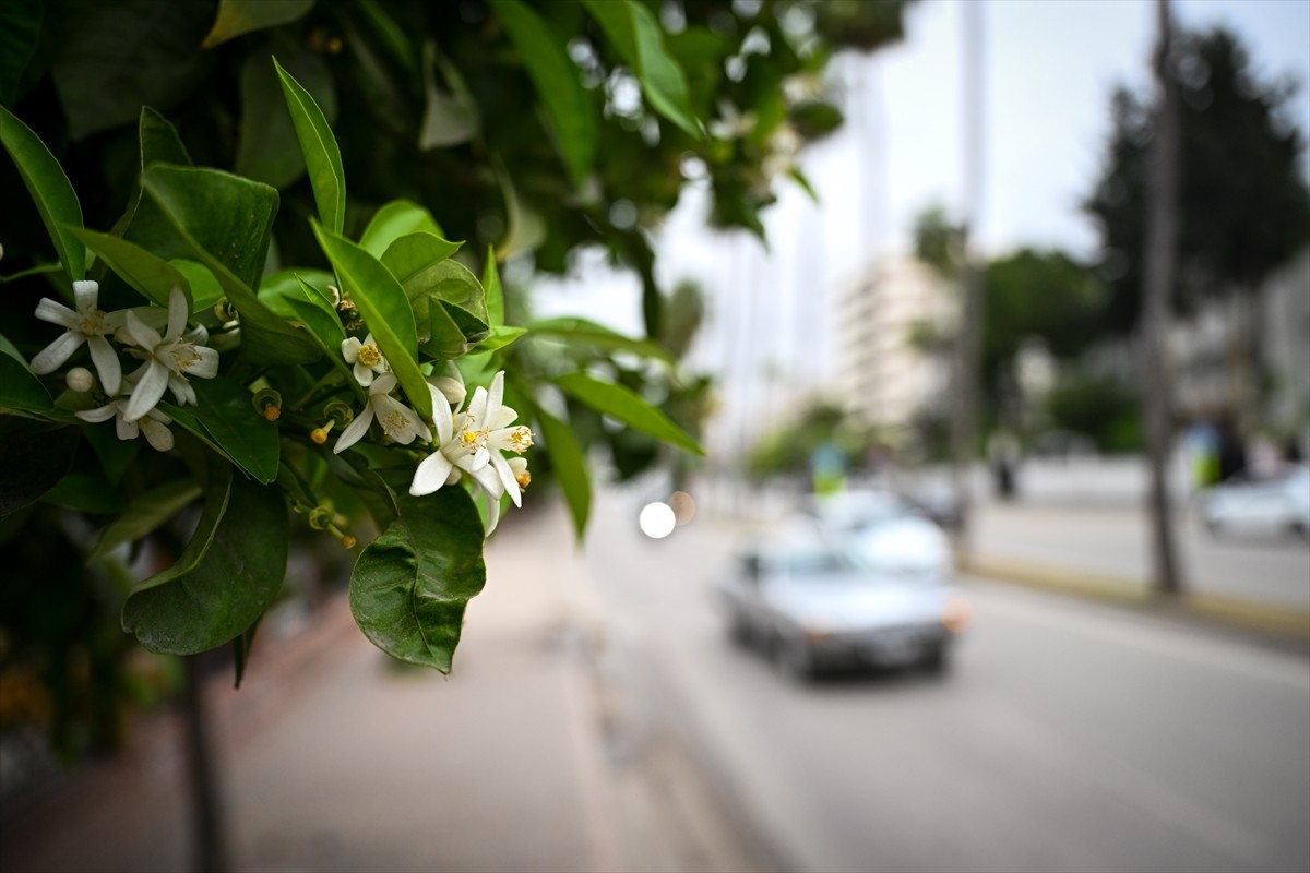 Adana'da bu yıl "Dünya Çocukları" temasıyla 4-13 Nisan'da gerçekleştirilecek Uluslararası Portakal...