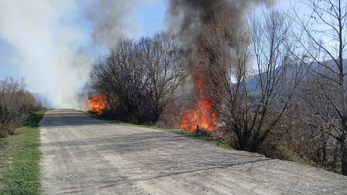 Amasya'nın Taşova ilçesinde, otluk alanda başlayıp ağaçların bulunduğu bölgeye sıçrayan yangın...