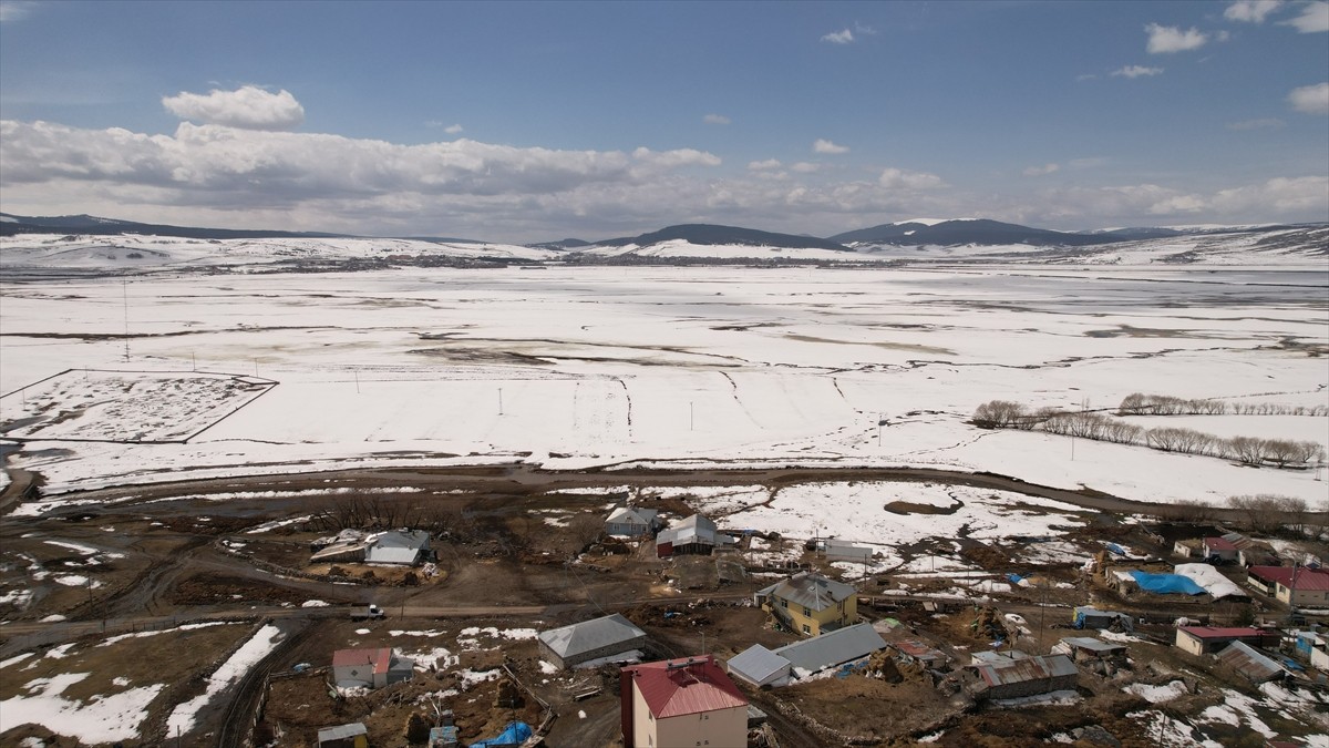 Ardahan'ın Göle Ovası'ndan geçen Kura Nehri, karın erimesiyle taştı. Çetin geçen kış sonrası...