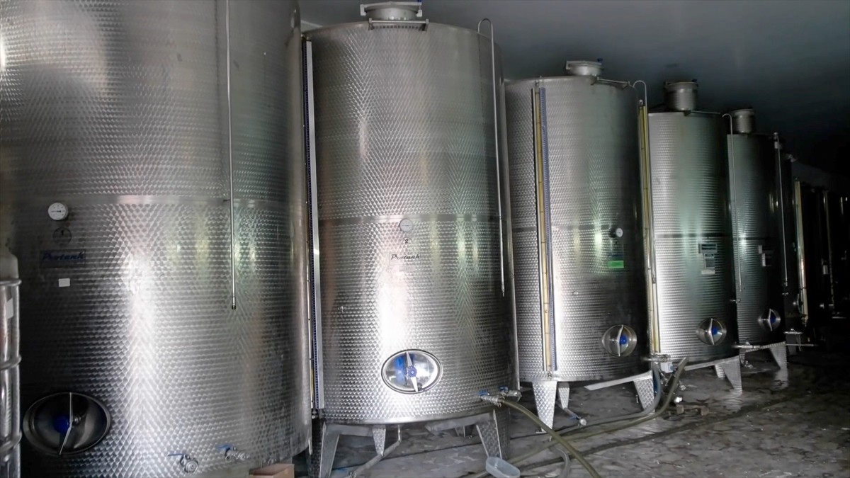 Balıkesir Üniversitesi (BAÜN) Edremit Meslek Yüksekokulu Zeytin ve Zeytin Teknolojileri Bölümü...