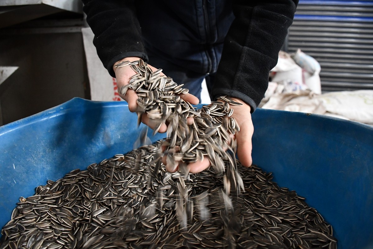 Bilecik'in Gölpazarı ilçesinde, Tarım ve Orman Bakanlığının "Kırsal Kalkınma Destekleri"...