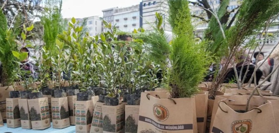 Bursa'da Ücretsiz Fidan Dağıtımı Coşkuyla Devam Ediyor