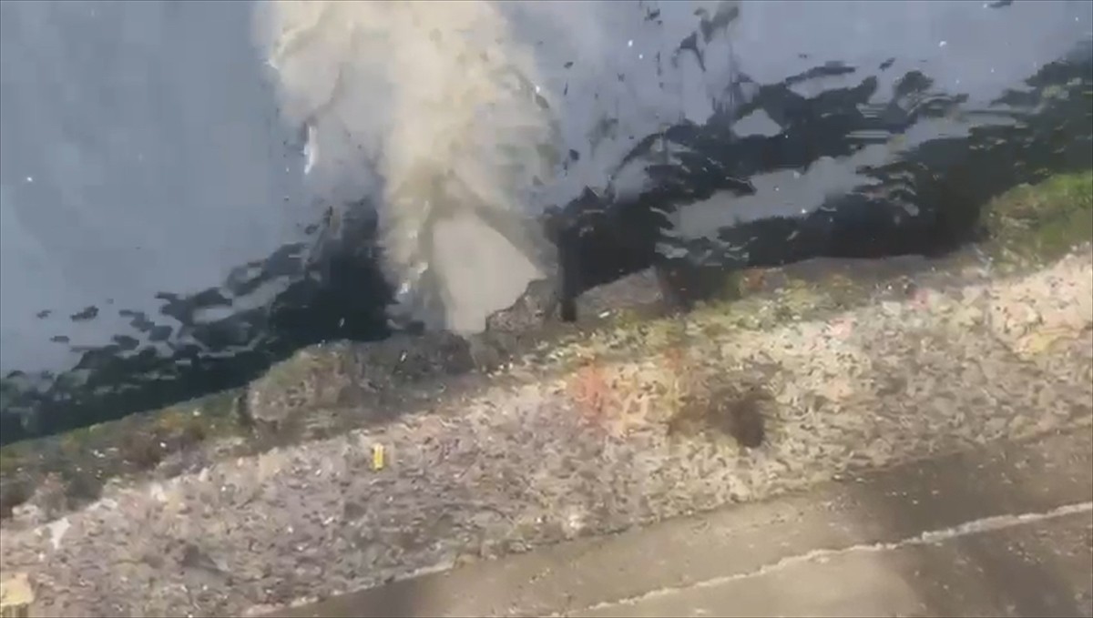 Çevre, Şehircilik ve İklim Değişikliği Bakanlığınca, Üsküdar'daki Kuleli Askeri Lisesi önünden...