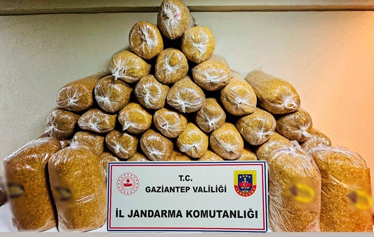 Gaziantep'te gerçekleştirilen kaçakçılık operasyonunda 38 kişi yakalandı. Şüphelilere yönelik...