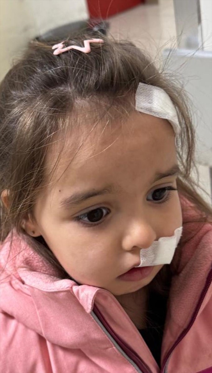 İzmir'in Karşıyaka ilçesinde, alışveriş merkezinde sahipsiz köpeğin saldırdığı 3 yaşındaki  Elif...