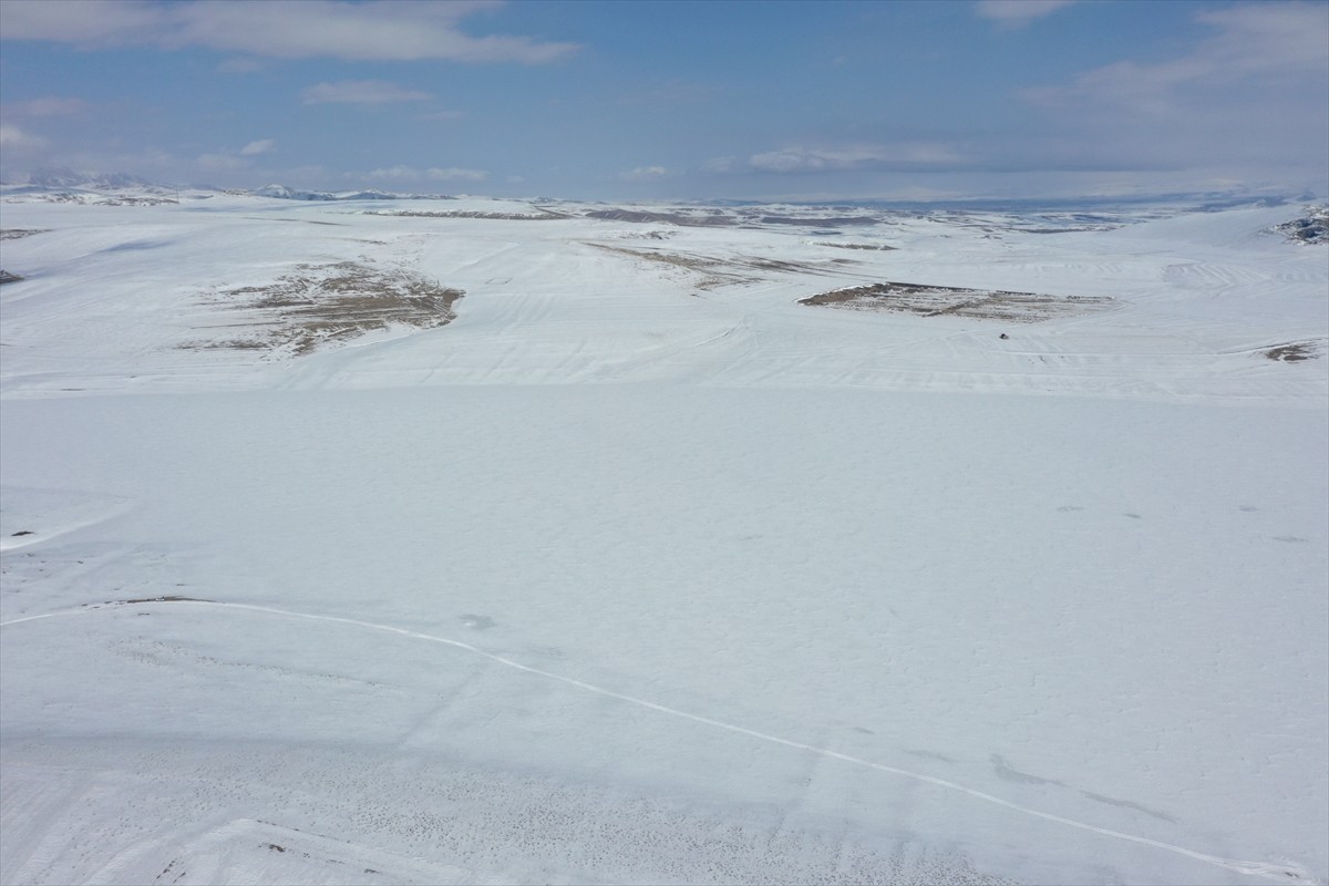 Kars'ta soğuk havanın etkisiyle yüzeyi donan Bayburt Barajı, kar yağışıyla yeniden beyaza...