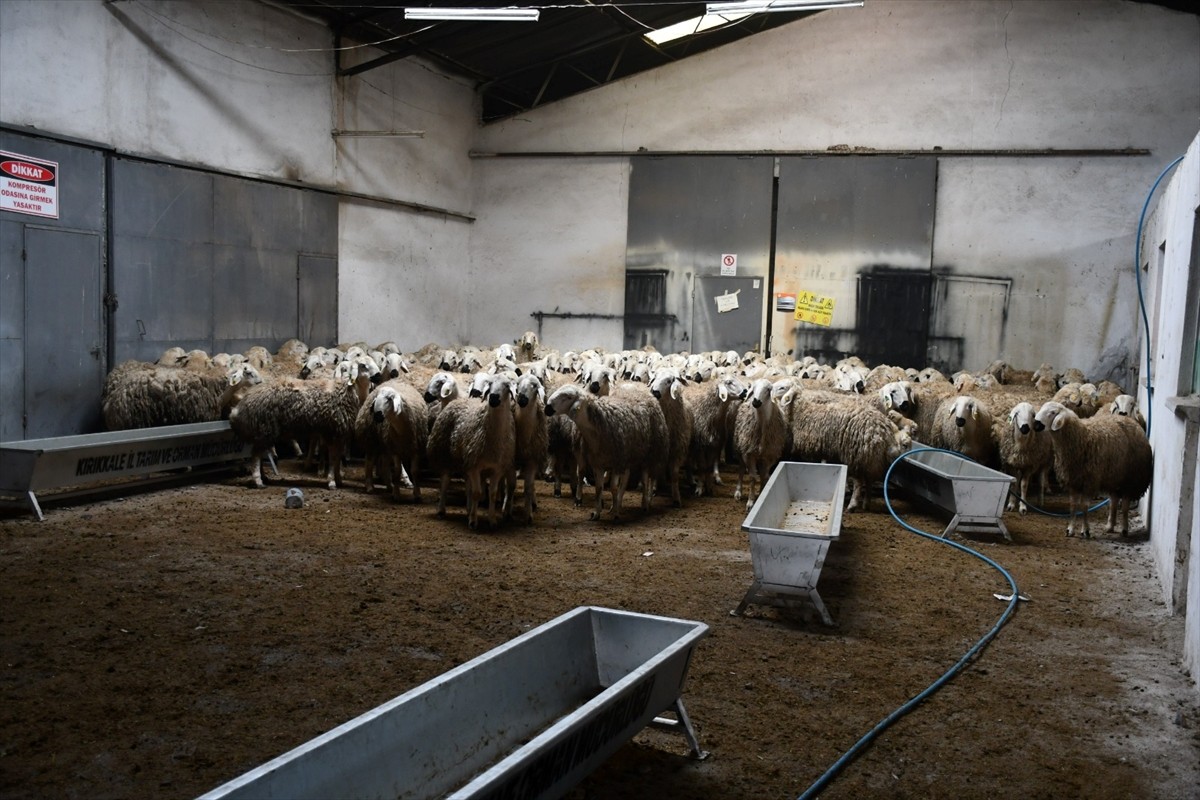 Kırıkkale'de, Tarım ve Orman Bakanlığı, İl Özel İdaresi ve Konya Ovası Projesi (KOP) Bölge...