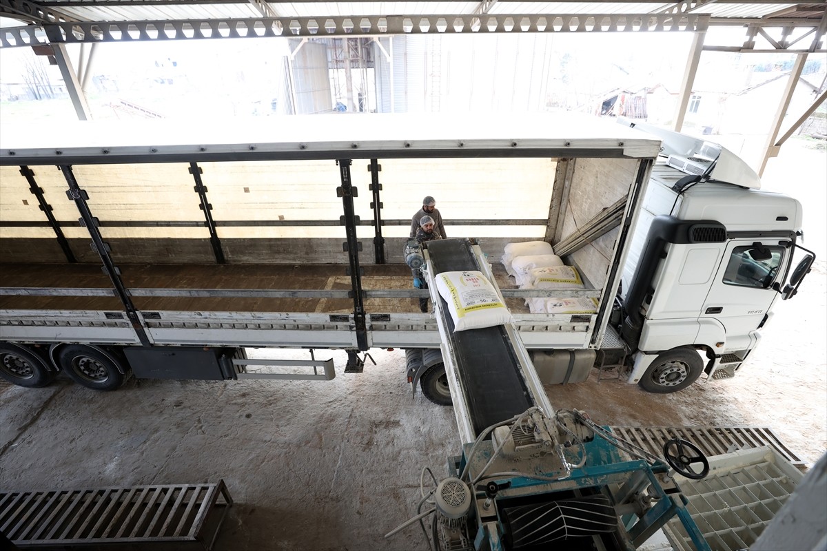 Kırklareli'nin Babaeski ilçesinde devlet desteği ile üretimini arttıran un işleme tesisi, 10...