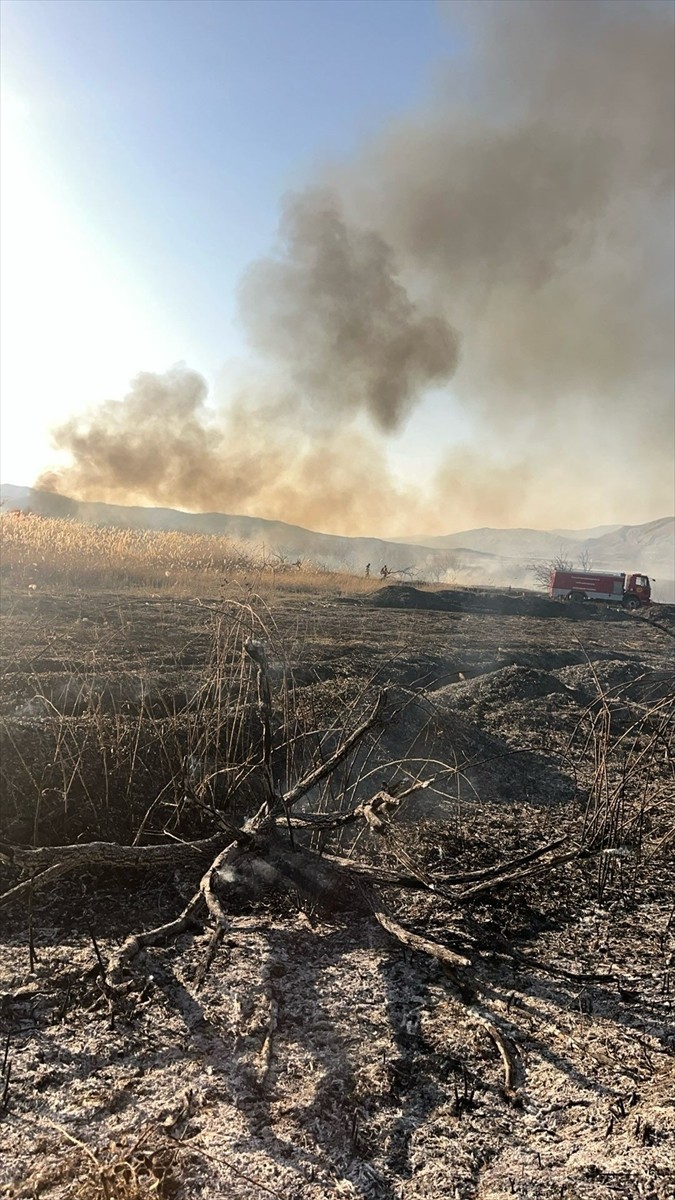 Malatya'nın Kale ilçesinde sazlık alanda çıkan yangın söndürüldü.