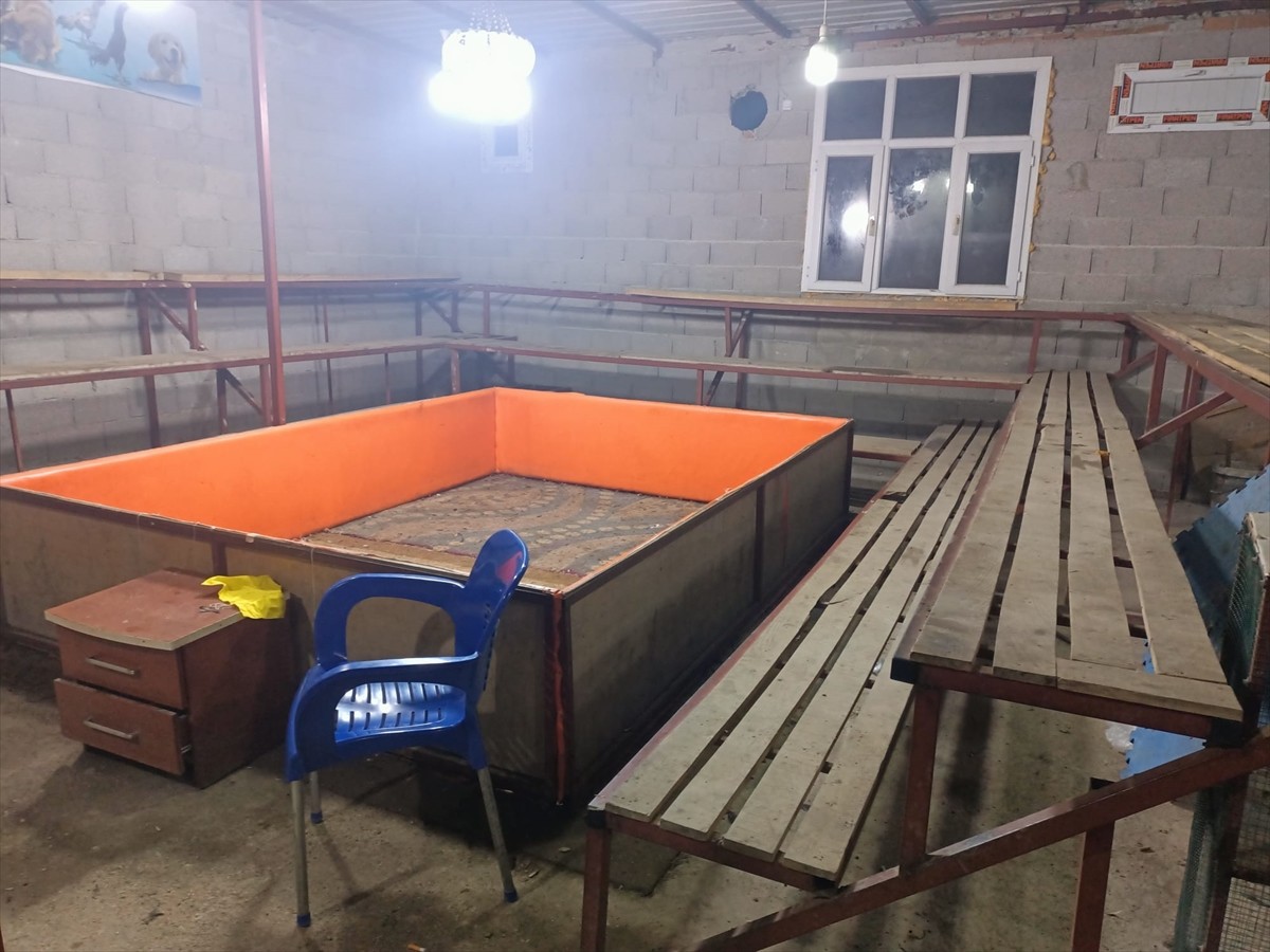 Mersin'in Tarsus ilçesinde horoz dövüşü yaptırdığı belirlenen 14 kişiye 130 bin 481 lira ceza...