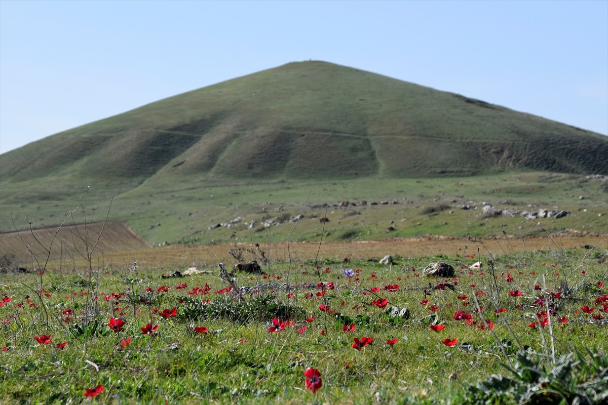 "Anadolu'nun piramitleri" olarak gösterilen Manisa'nın Salihli ilçesindeki "Lidya Tümülüsleri"...