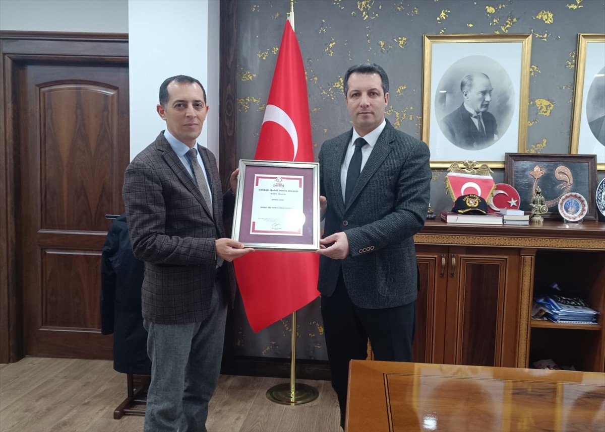 Sakarya'da yetiştirilen "Sapanca cevizi", Türk Patent ve Marka Kurumundan coğrafi işaret tescili...