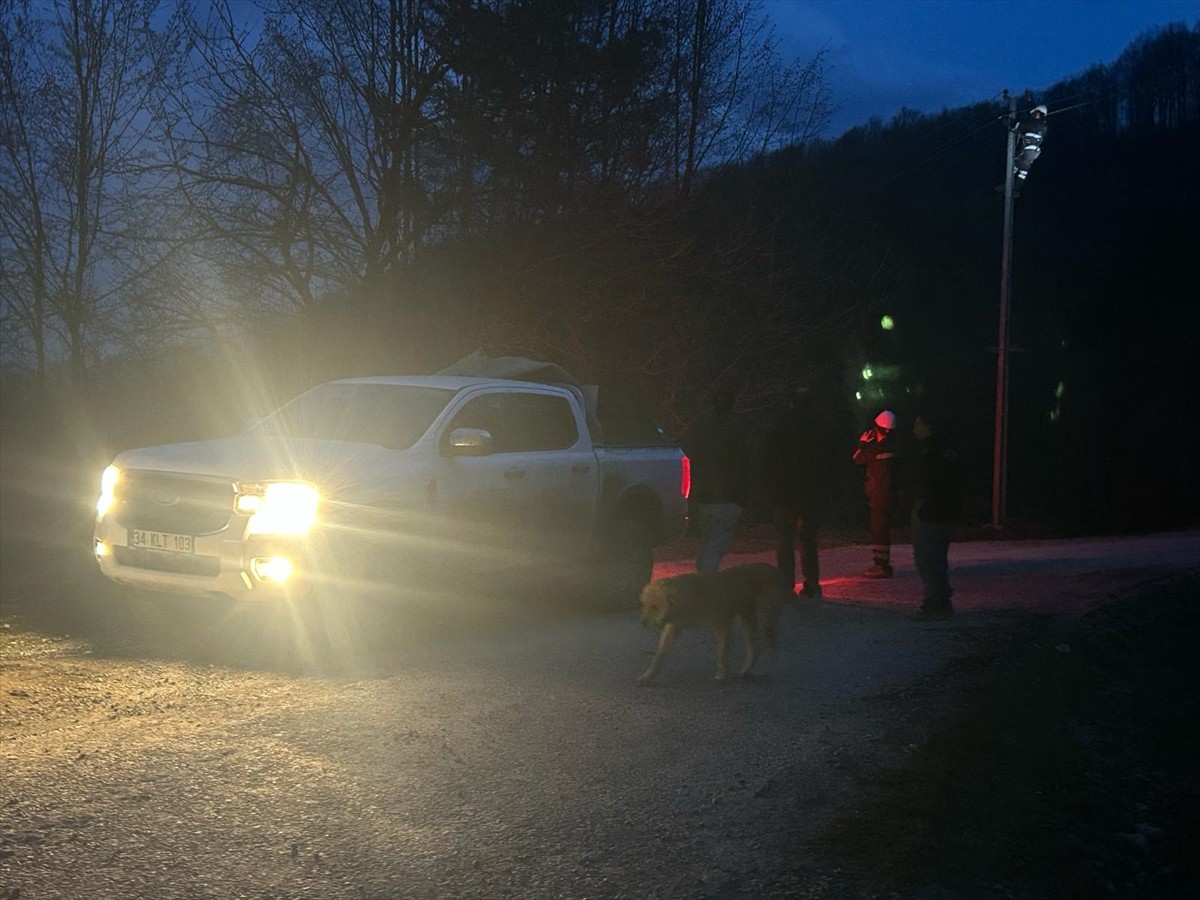 Sinop'un Türkeli ilçesinde bulunan Yapraklı Köyü'nde elektrik akımına kapılan büyükbaş hayvan...