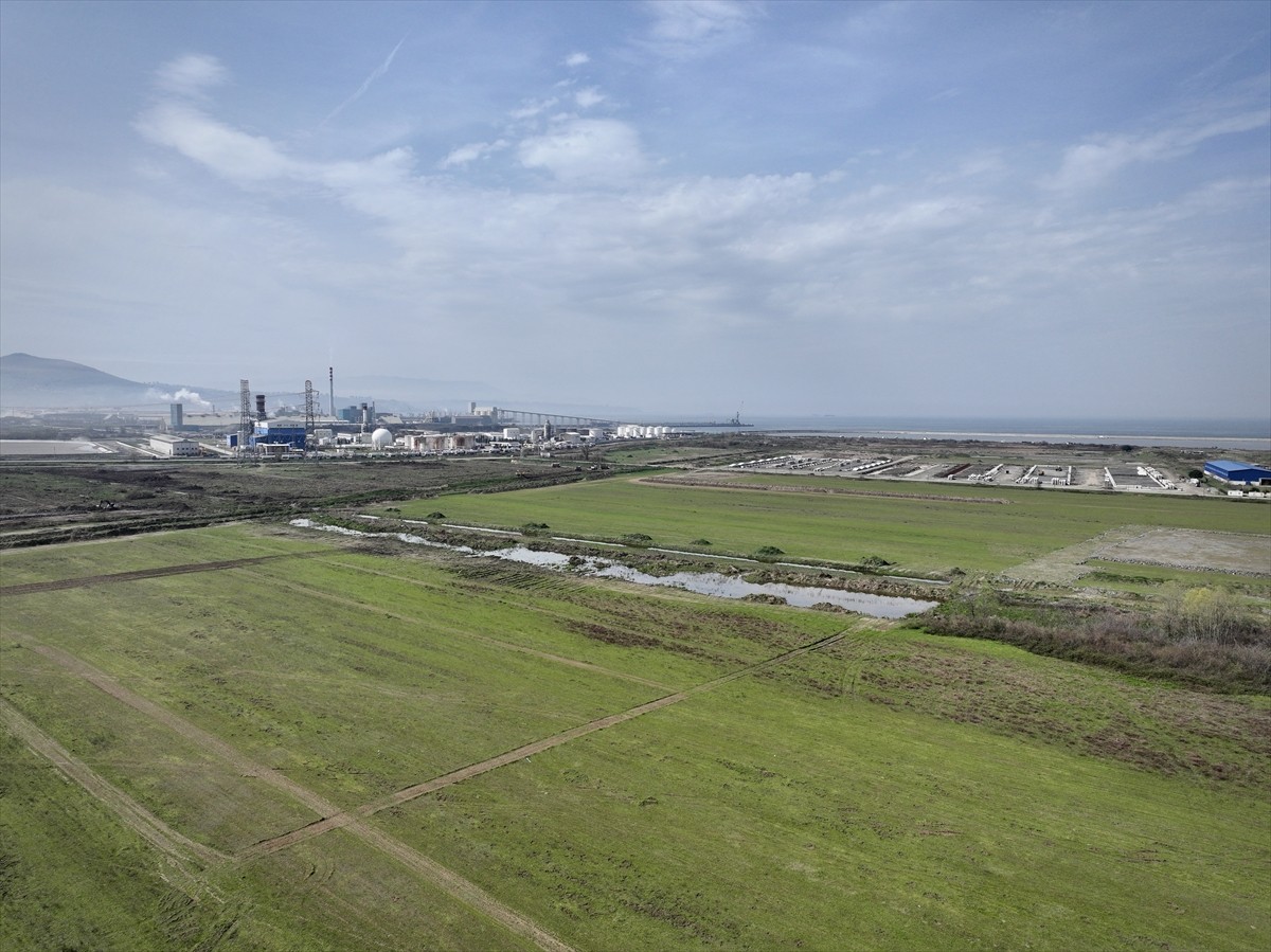 TBMM Plan ve Bütçe Komisyonu Başkanı ve Samsun Milletvekili Mehmet Muş, Chery'nin yatırım yapmayı...
