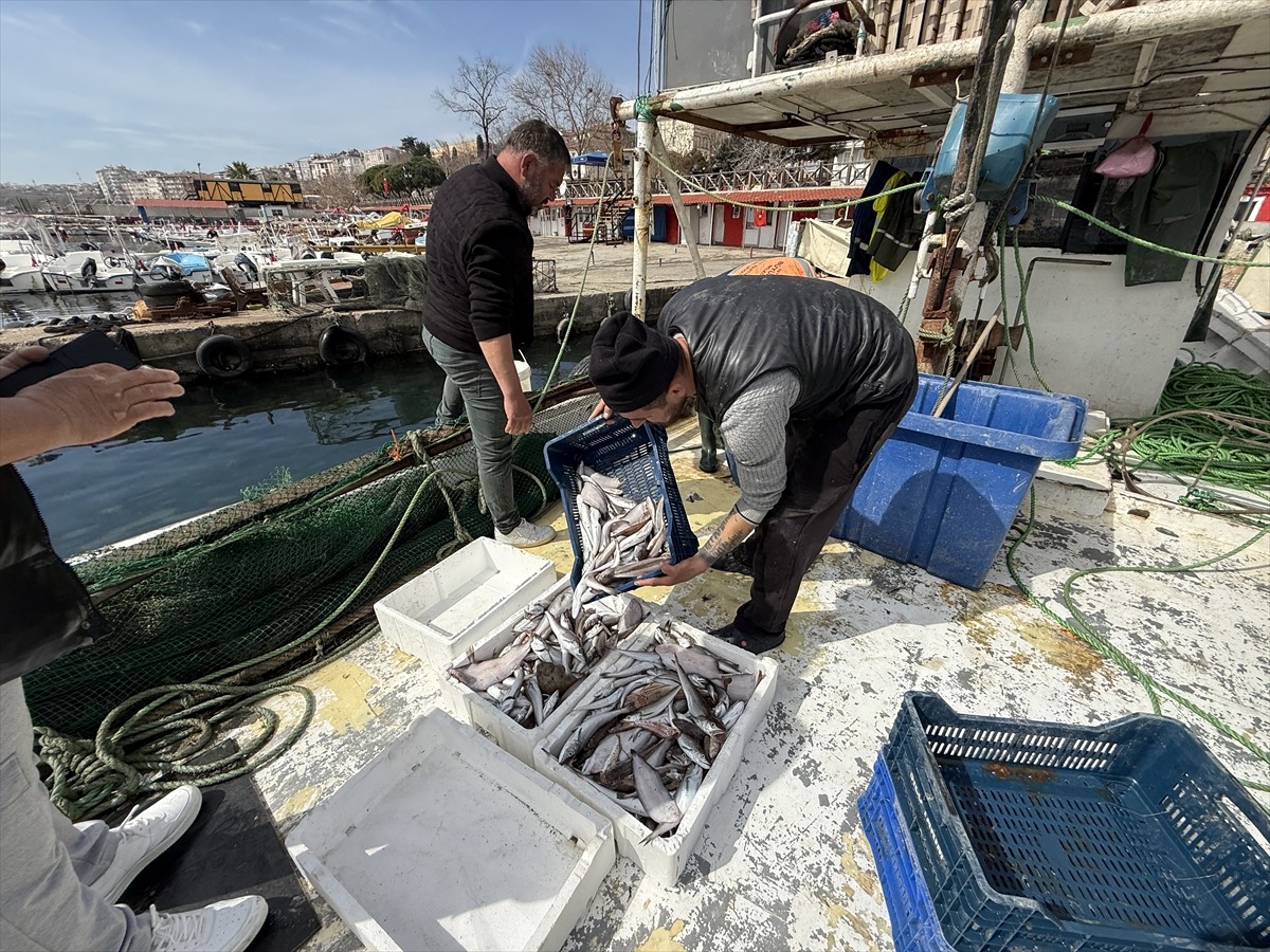  Tekirdağ'da küçük tekneleriyle Marmara Denizi'ne açılan balıkçıların ağlarına en çok karides ve...