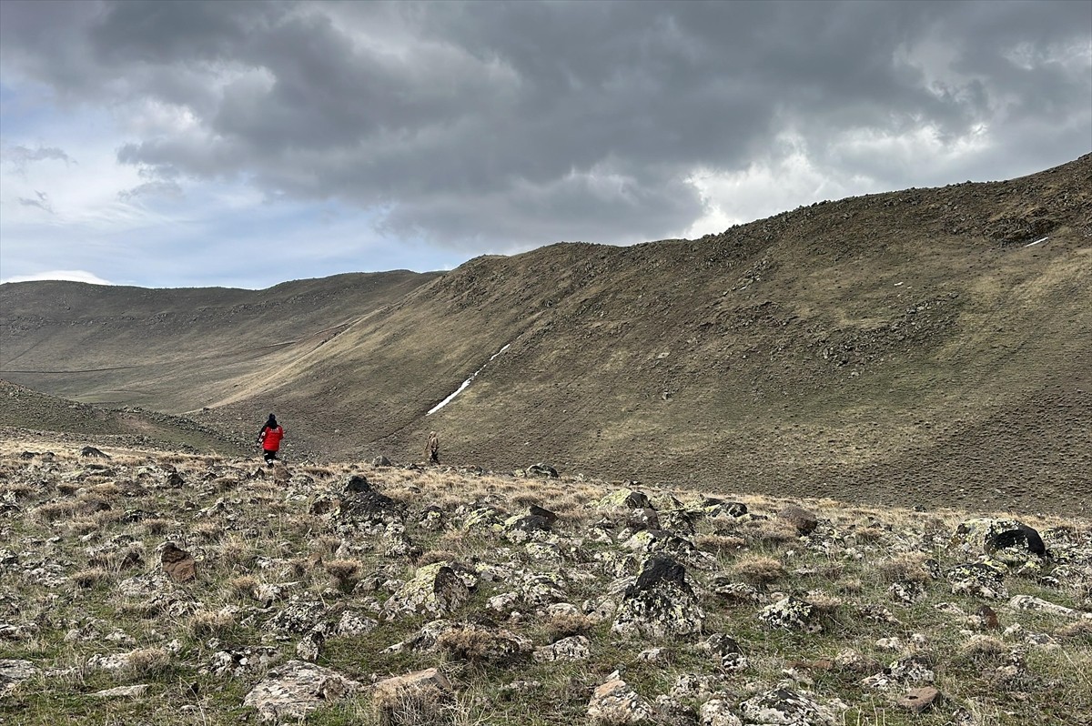 Ağrı'nın Patnos ilçesinde ailesi tarafından kayıp başvurusu yapılan kişi, arama çalışmalarının...