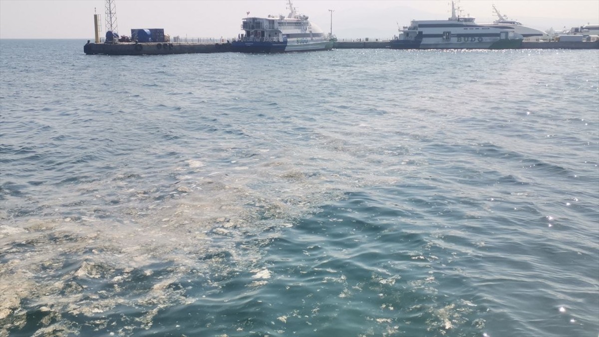 Bursa'nın Mudanya ilçesi kıyılarında deniz yüzeyinde müsilaj görüldü.