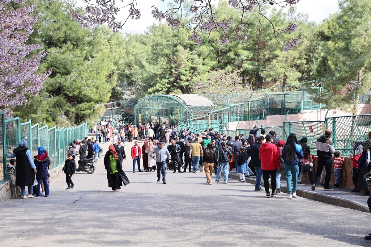 Büyüklüğü ve barındırdığı hayvan türleriyle dünyanın önde gelen hayvanat bahçelerinden olan...