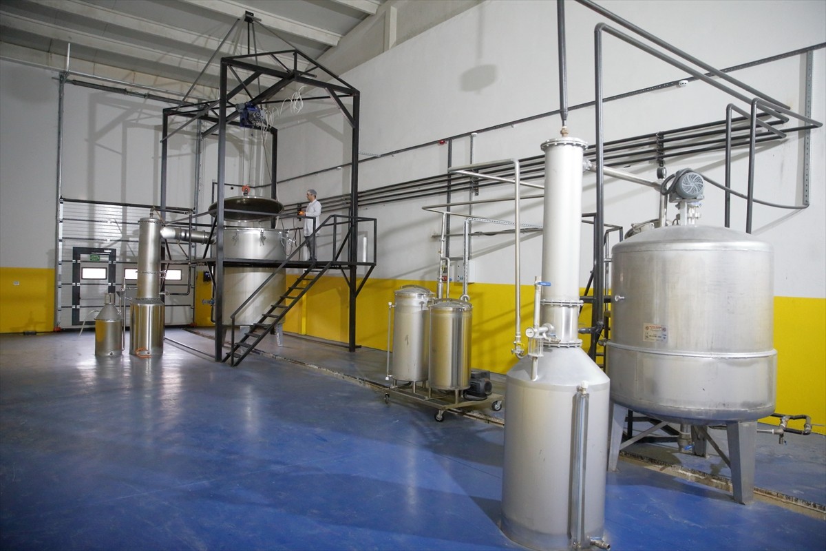 Çorum'da ailesi üç nesildir kasaplık yapan Ali İlker Tosun, "mis gibi kokacağı bir iş sahibi olma"...