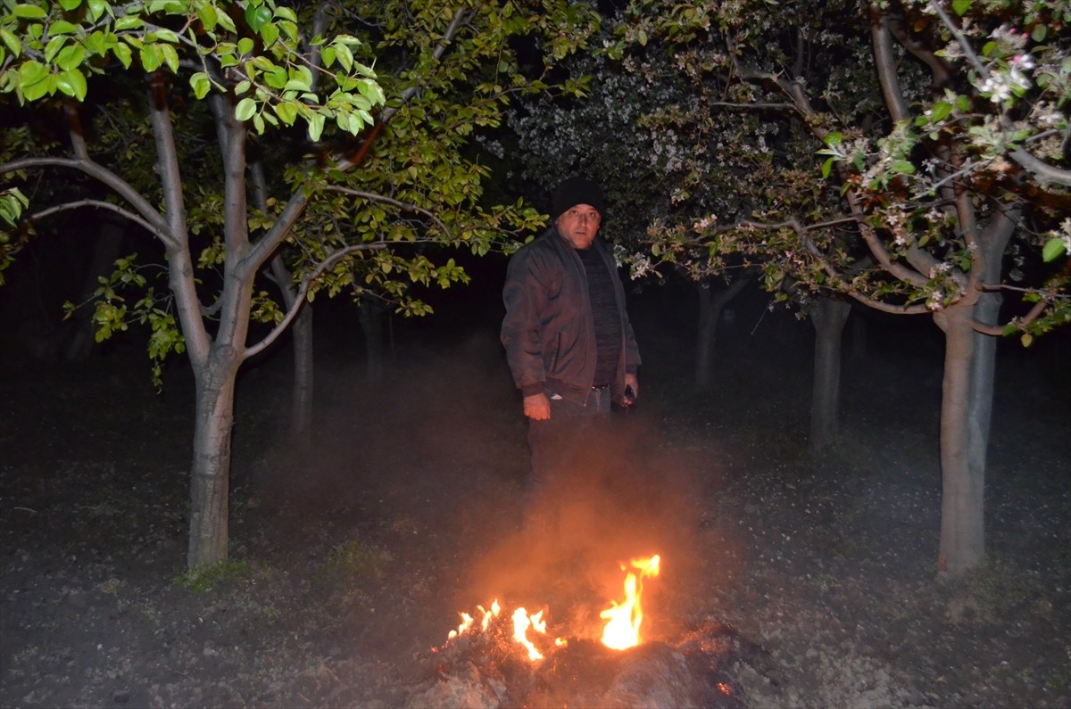 Çorum'un Dodurga ilçesinde çiftçiler, meyve ağaçlarını zirai dona karşı korumak için ateş yakarak...