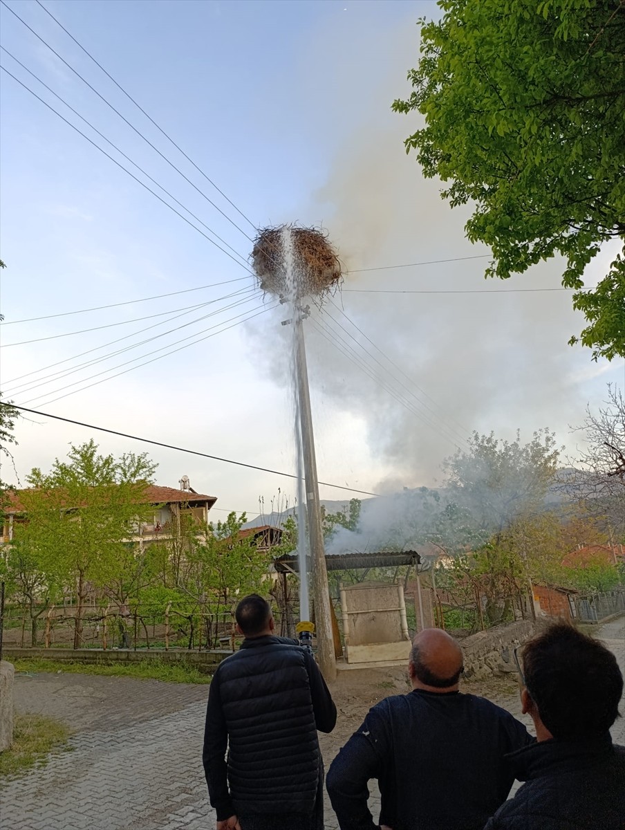 Çorum'un Dodurga ilçesindeki bir elektrik direğinde çıkan yangında leylek yuvası kullanılamaz hale...