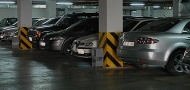 Elazığ'da Alışveriş Merkezi Otoparkında Engerek Yılanı Panik Yarattı