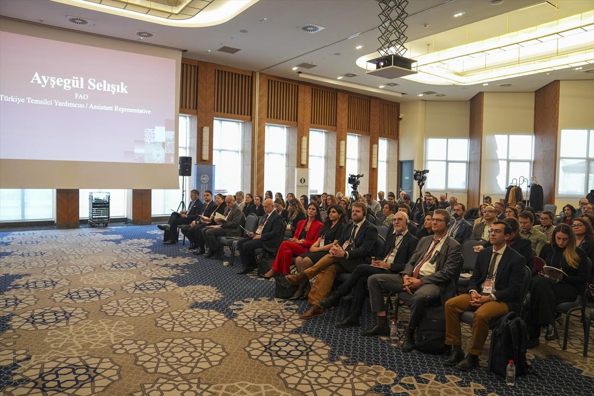 FAO ve Avrupa İmar ve Kalkınma Bankası (EBRD) tarafından, "Türkiye'de Tarıma Yönelik Dijital...