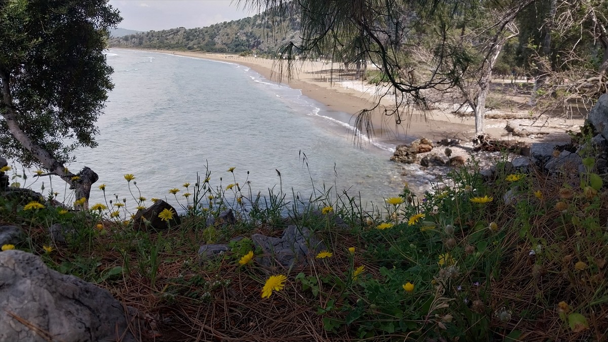 Her yıl binlerce deniz kaplumbağasına ev sahipliği yapan Muğla'nın Ortaca ilçesindeki İztuzu...