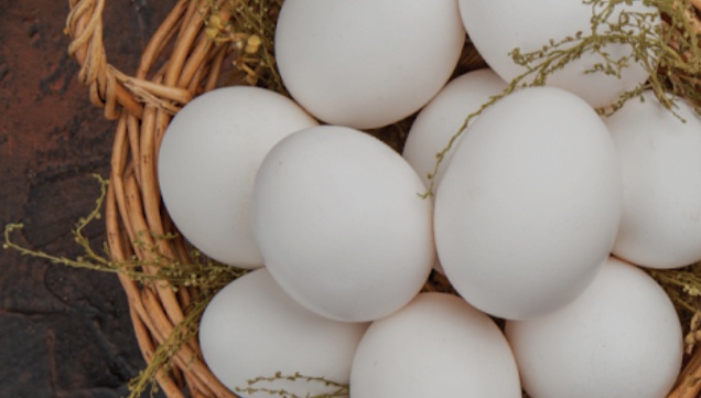 İstanbul'da Mayıs İndirimleri: Yumurta Fiyatları Düşüyor!