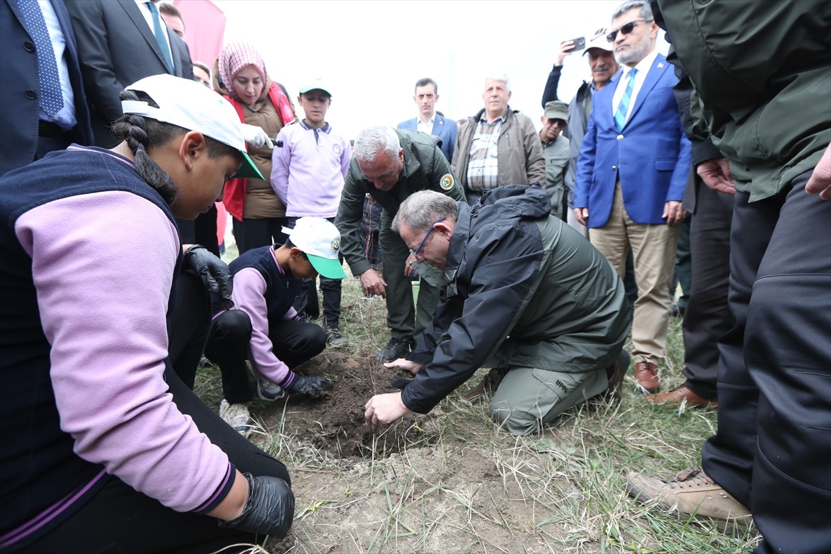 Kars Valisi Ziya Polat'ın (sağda) "Her ilçeye örnek meyve bahçesi" talimatı doğrultusunda Selim...