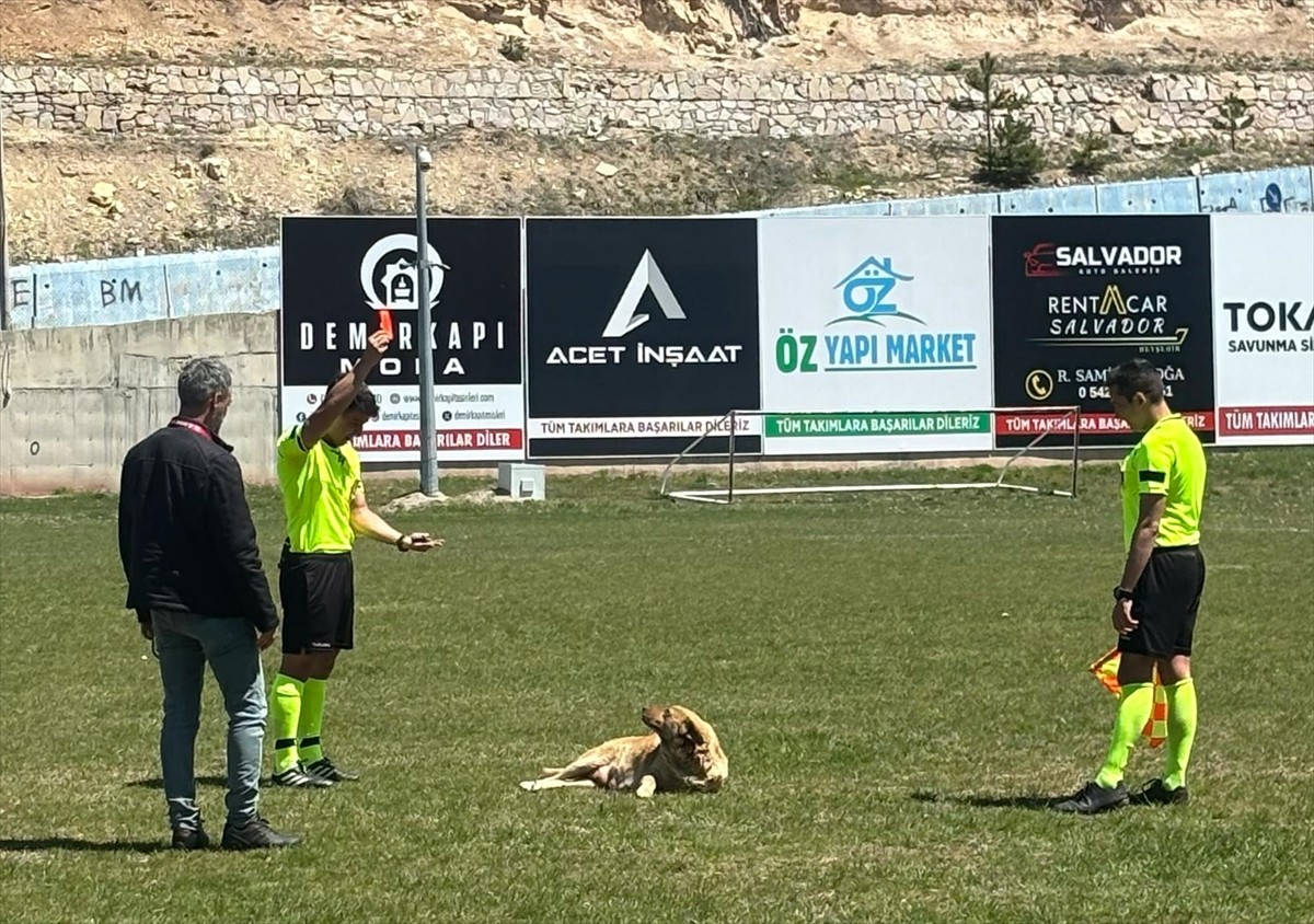 Konya'nın Beyşehir ilçesinde amatör maç sırasında sahaya giren köpek, alanı terk etmeyince hakem...