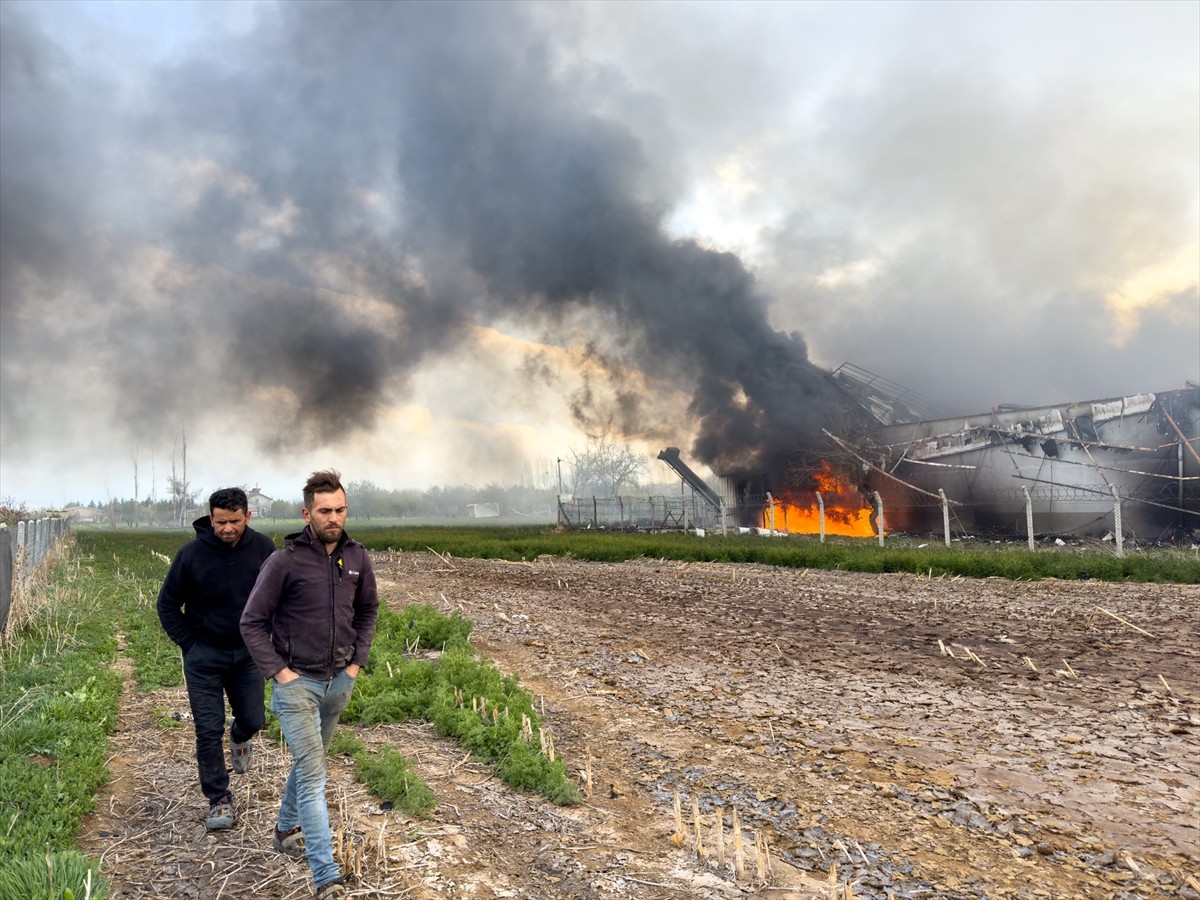 Konya'nın merkez Meram ilçesindeki bir tavuk çiftliğinde çıkan yangına itfaiye ekiplerince...