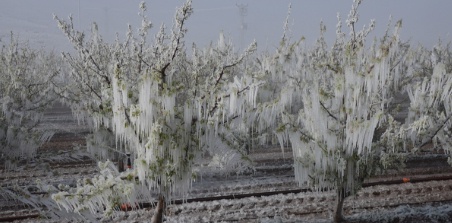 MGM'den Yaz Mevsimi için Şok Uyarı: Zorlu Günler Kapıda!