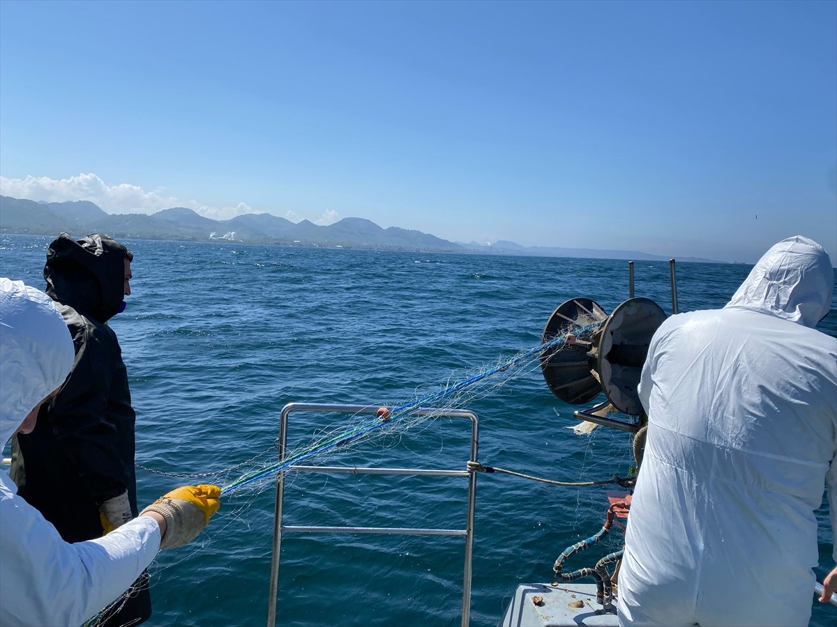 Ordu'da denize kaçak serilen 500 metrelik kalkan balığı ağı ele geçirildi.