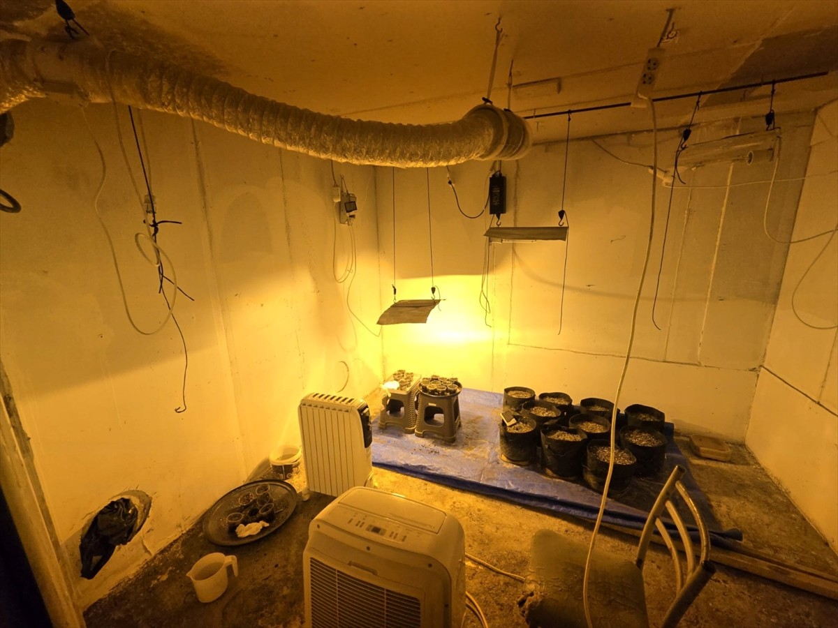 Sakarya'da son 1 ayda düzenlenen uyuşturucu ve kaçakçılık operasyonlarında gözaltına alınan 213...