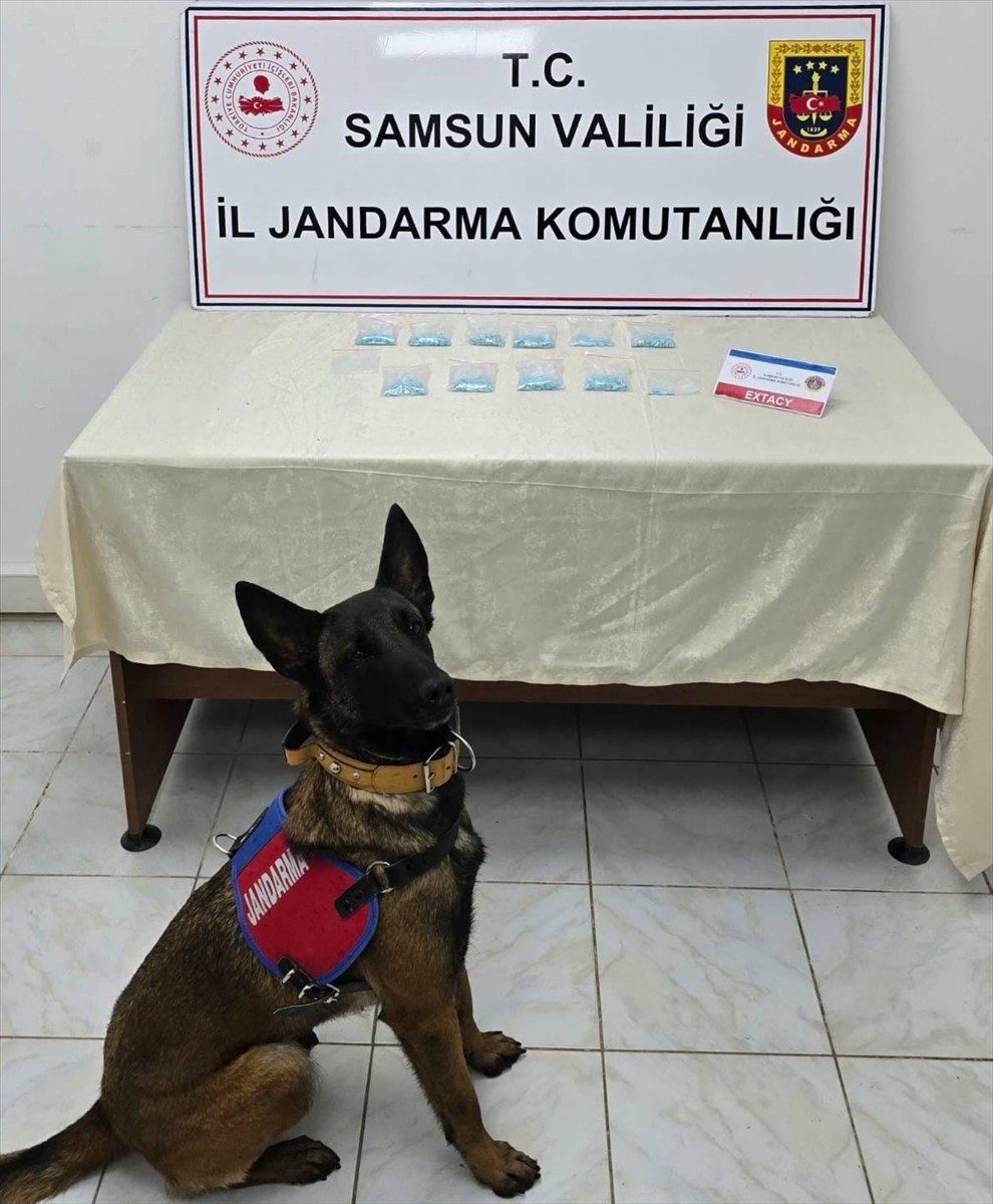 Samsun'da bir iş yerinde "Benek" adlı narkotik dedektör köpeğin yardımıyla yapılan aramada, 1009...