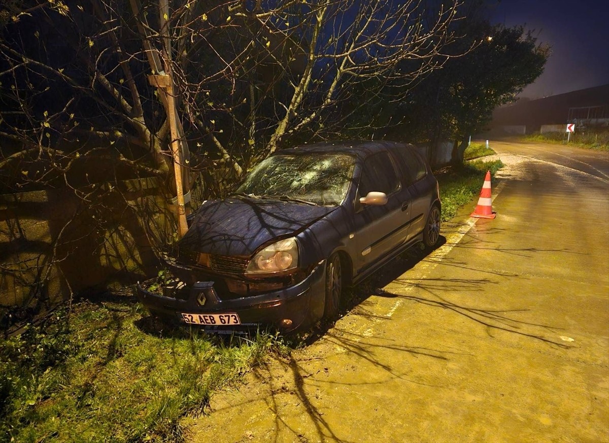 Samsun'un Bafra ilçesinde aydınlatma direğine çarpan otomobildeki 1'i çocuk 3 kişi yaralandı.
