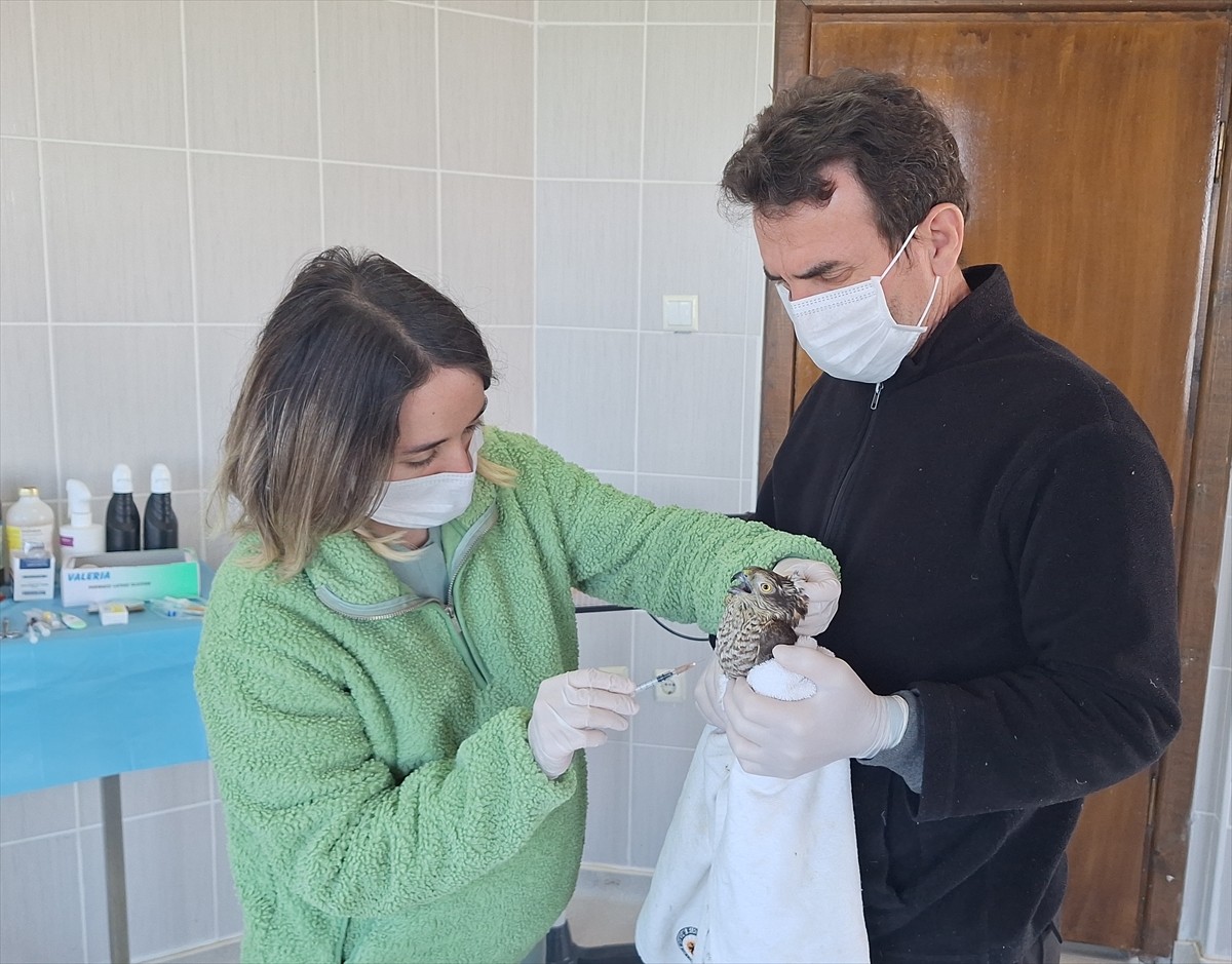 Samsun'un Bafra ilçesinde gözlerindeki enfeksiyon yüzünden görme sorunu yaşayan atmaca...