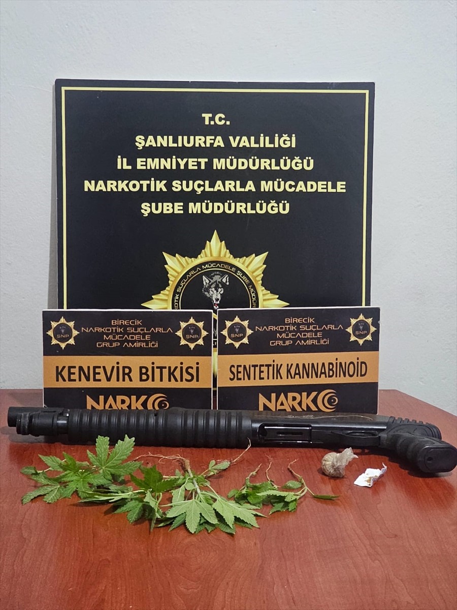 Şanlıurfa'da düzenlenen uyuşturucu operasyonunda gözaltına alınan 14 şüpheliden 12'si tutuklandı....